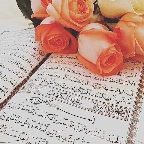 شروع صبح با یک صفحه از قرآن کریم