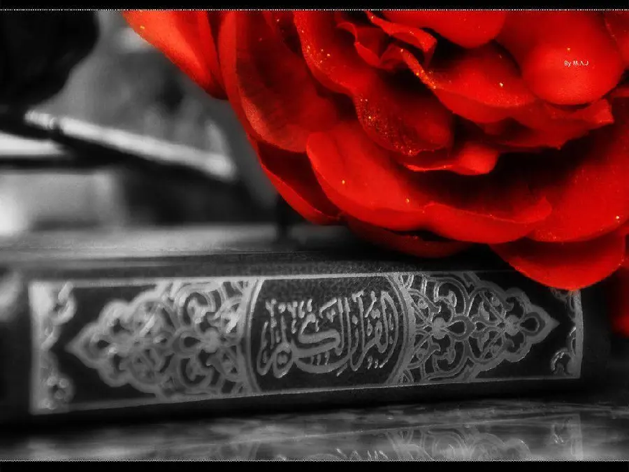 شروع صبح با یک صفحه از قرآن