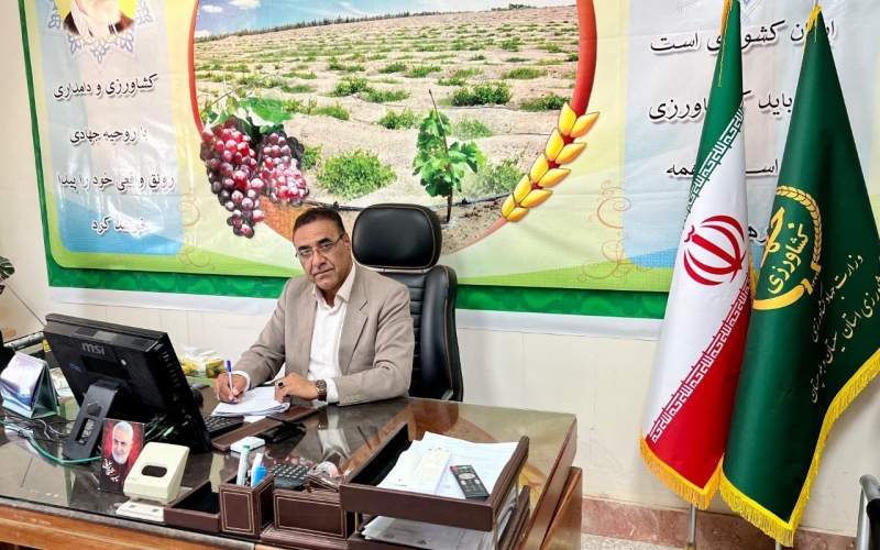فرصت طلایی سرمایه‌گذاری در کشت گلخانه‌ای زهک