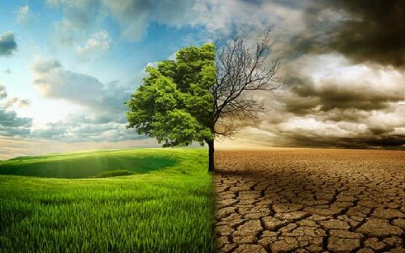 محیط‌زیست سرمایه فراموش‌ شده شرق کشور
