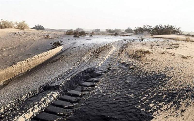 مهار گرد و غبار هامون با مالچپاشی طبیعی