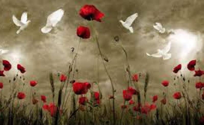 خواهرانم همیشه زینب‌وار باشید