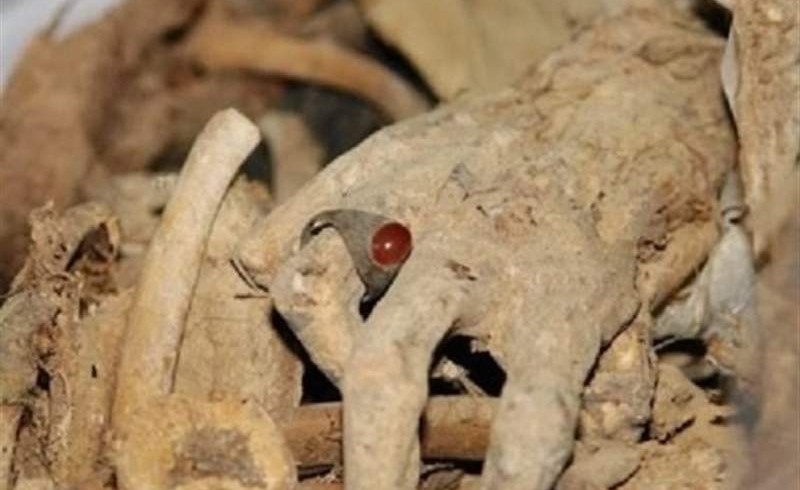 برادرانم جبهه را خالی نگذارید