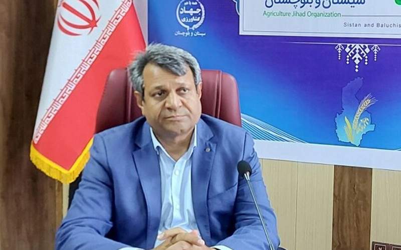 برداشت ۲ میلیون تن محصول پاییزه در سیستانوبلوچستان