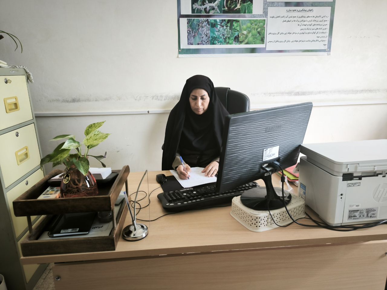 آفت‌های گلخانه‌ای تهدید سلامت محصولات کشاورزی