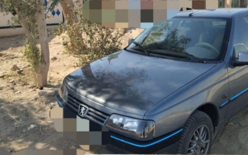 تعقیب‌وگریز پلیس با سارقان مسلح در زهک