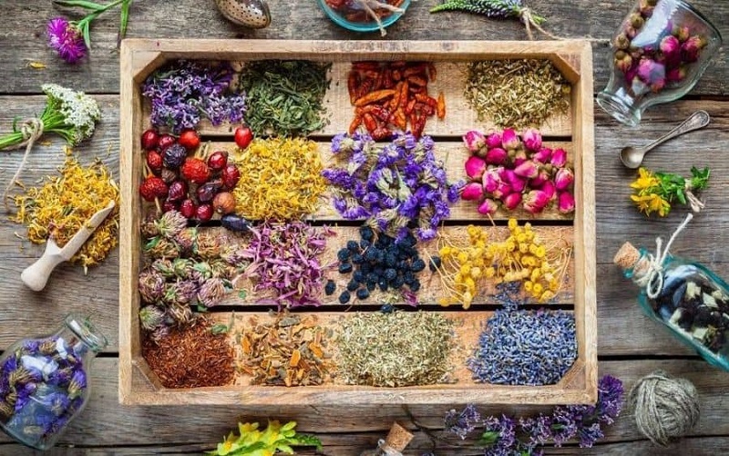 محصولات دارویی بومی پیشران توسعه صادرات سیستانوبلوچستان