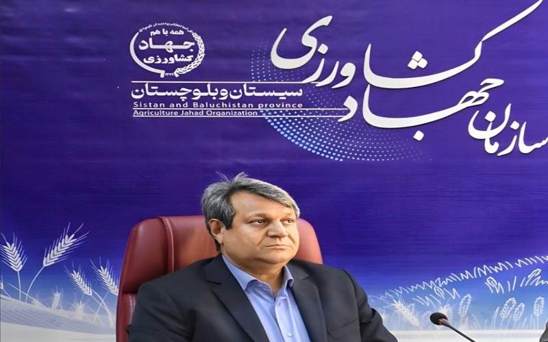 ورود نخستین محموله گوشت و برنج وارداتی