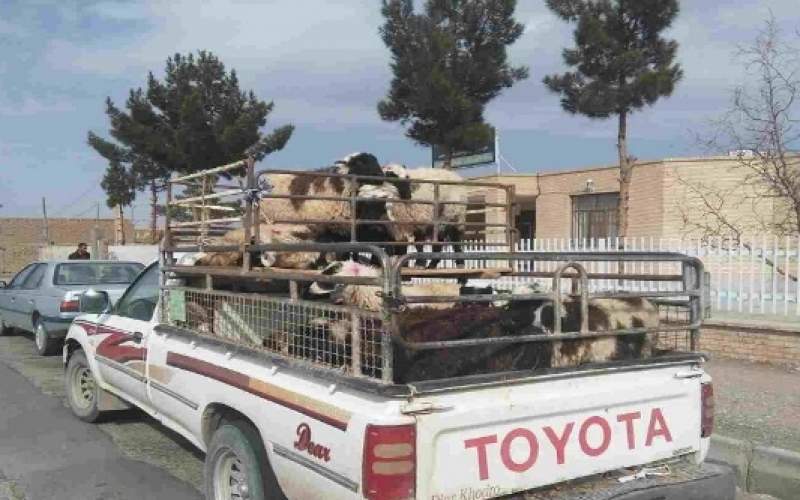 کنترل تردد دام، سد اصلی تب برفکی