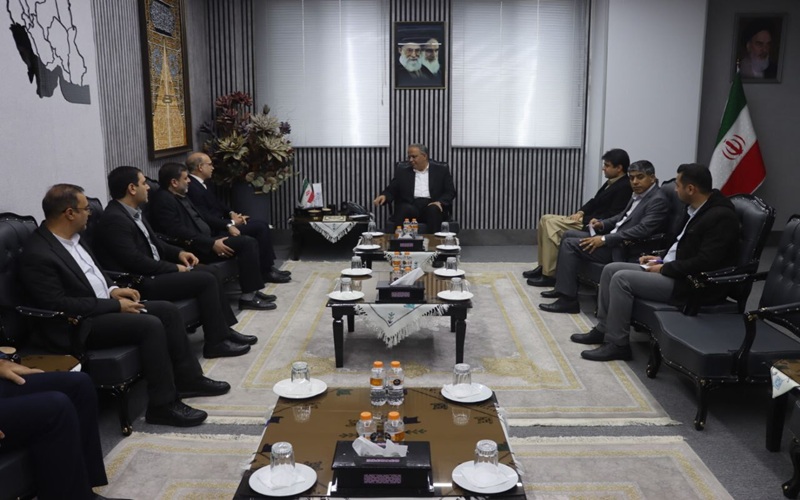 سیستانوبلوچستان آماده توسعه زنجیره تولید گوشت