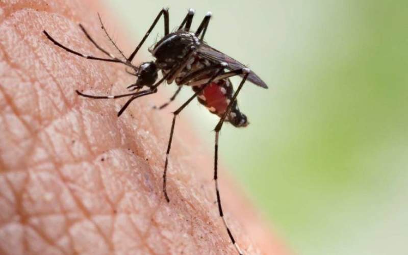 کاهش روند ابتلا به مالاریا در شهرستان سراوان