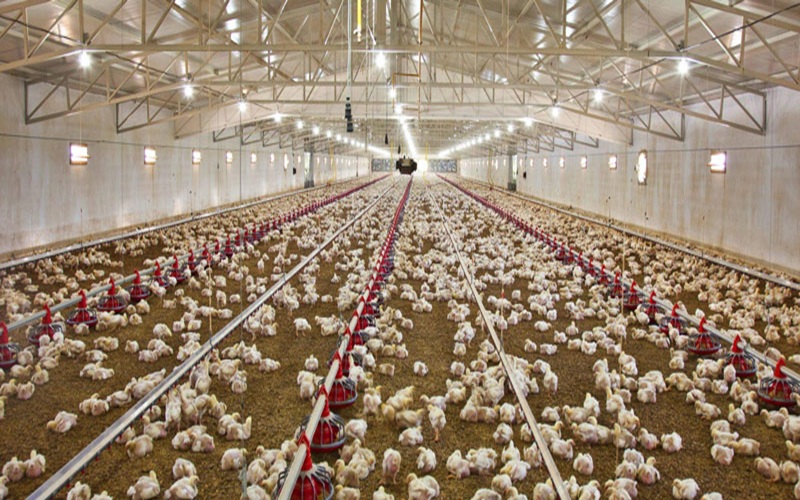 احیای ظرفیت‌های مغفول‌مانده، نسخه‌ای برای تقویت اقتصاد محلی