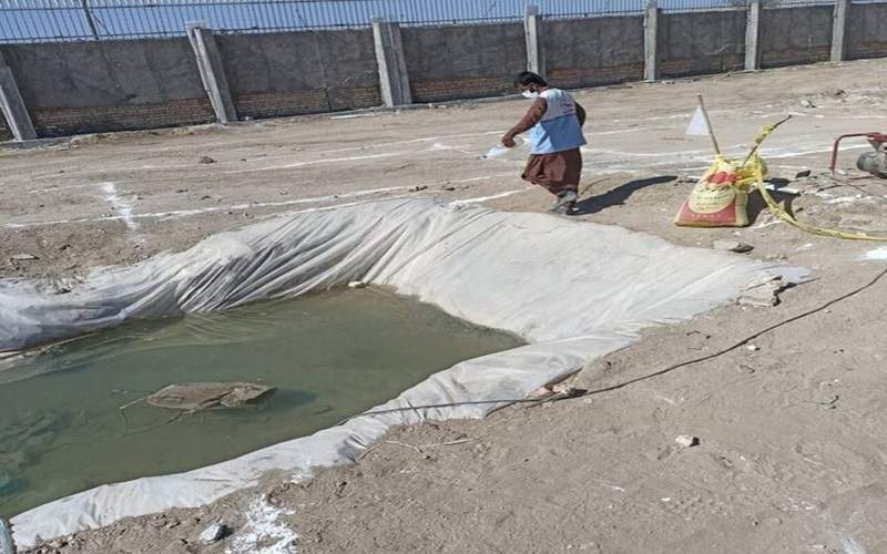 تداوم پایش حشرات ناقل در سیبوسوران