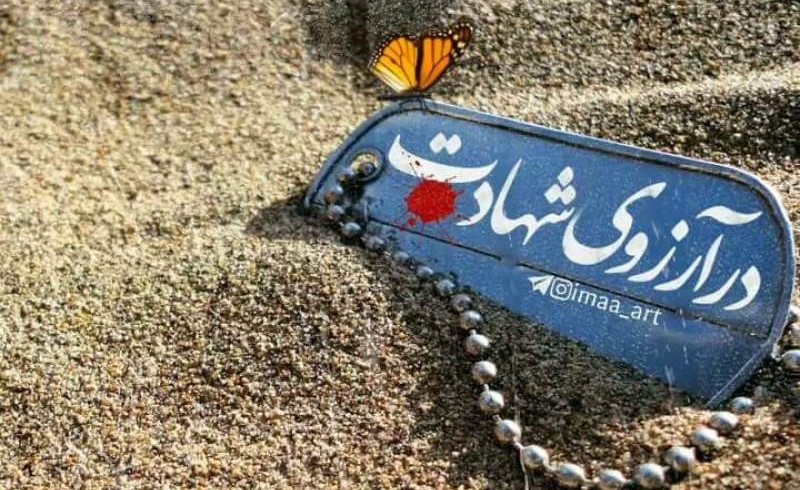 انقلاب ما ضربه‌پذیر نیست