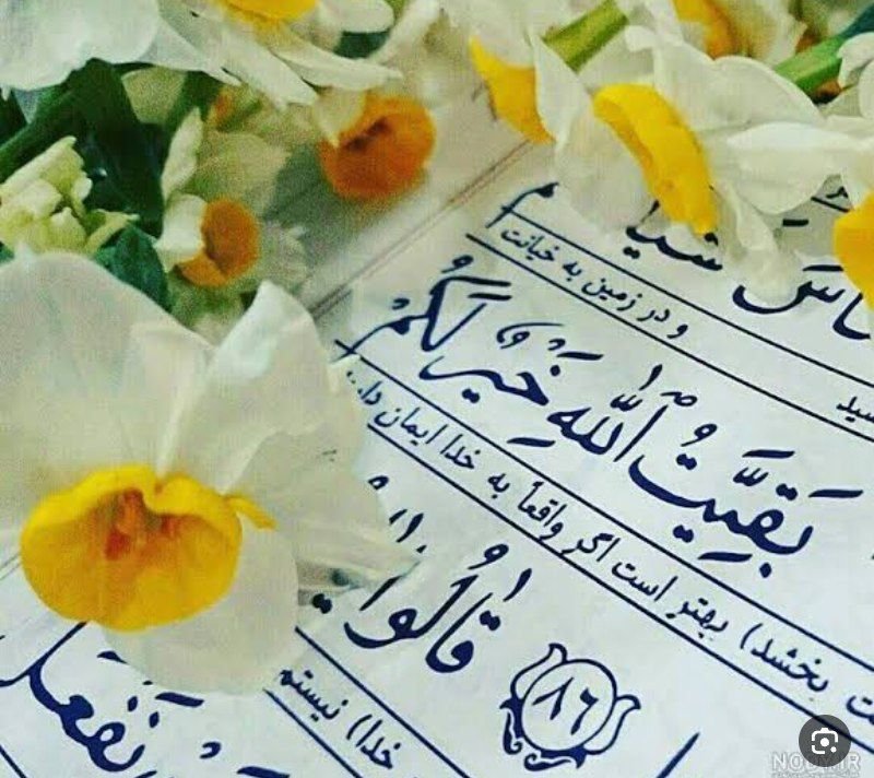 شروع صبح با یک صفحه از قرآن کریم