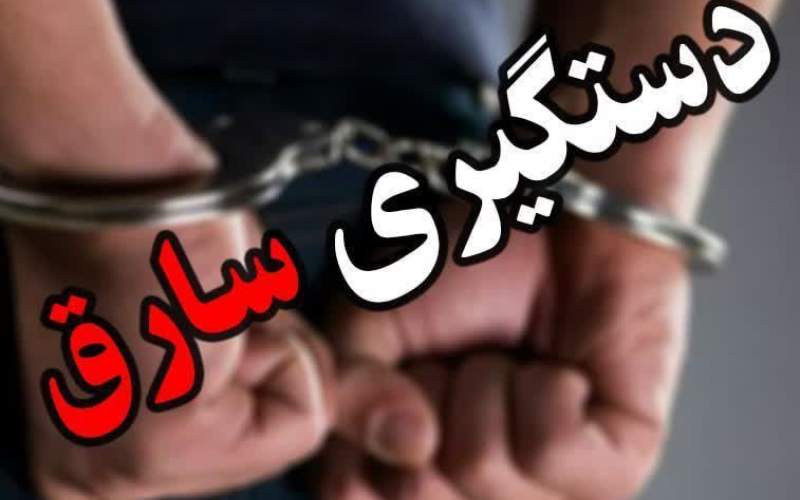دستگیری سارقان کابل برق در هامون