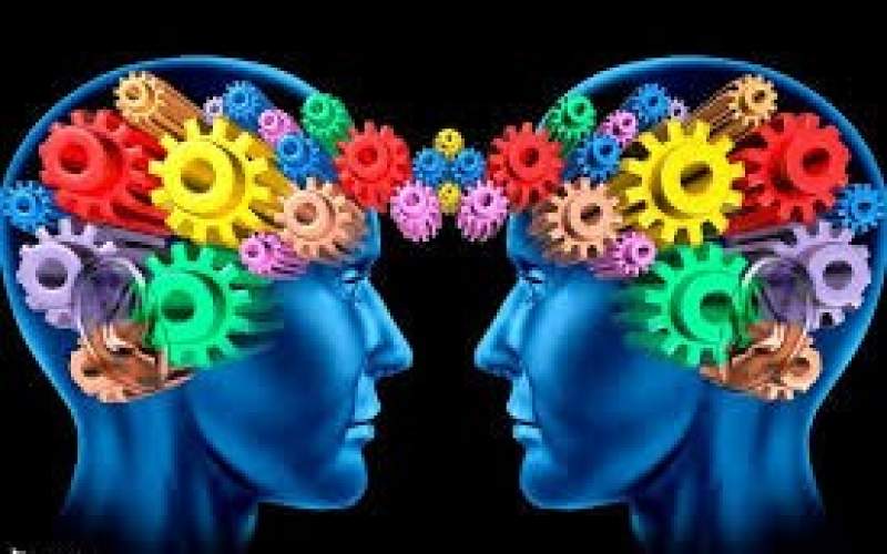 روان‌شناسان، همراهان همدل در مسیر آرامش جامعه
