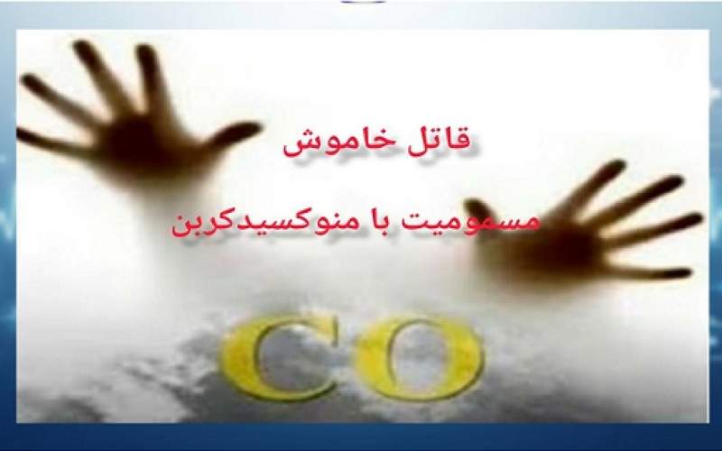 مسمومیت با گاز دی‌اکسیدکربن جان یک نفر را گرفت