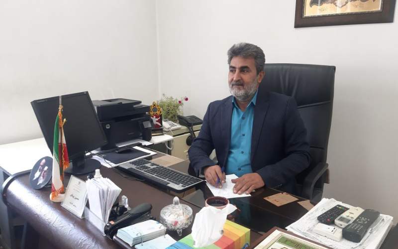 برپایی نمایشگاه مشاغل خانگی در هامون