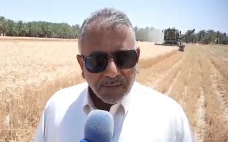 سطح زیر کشت گندم ۵۰۰۰ هکتار اراضی ایرانشهر