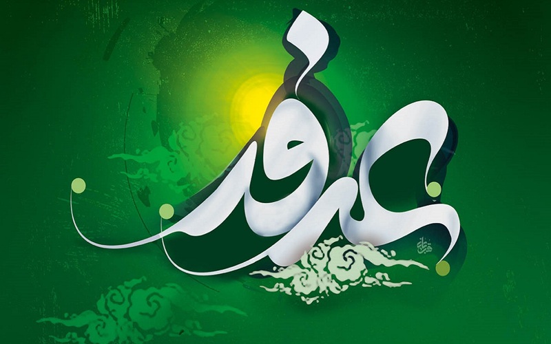 بصیرت، میوه شیرینِ عرفه