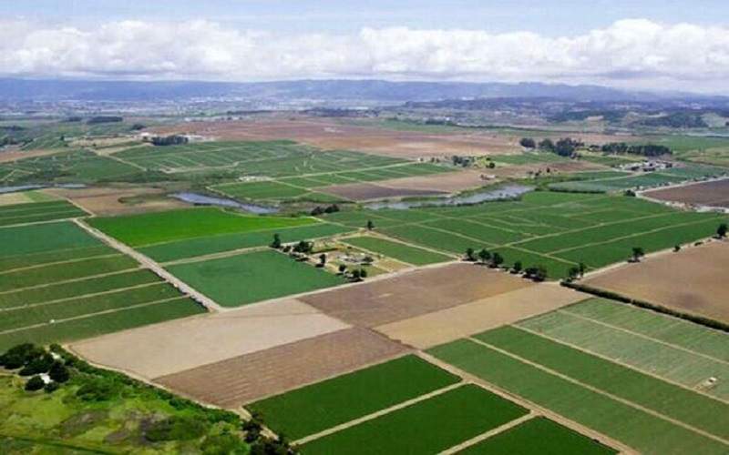 صدور سند مالکیت ۲۱ هزار قطعه اراضی کشاورزی