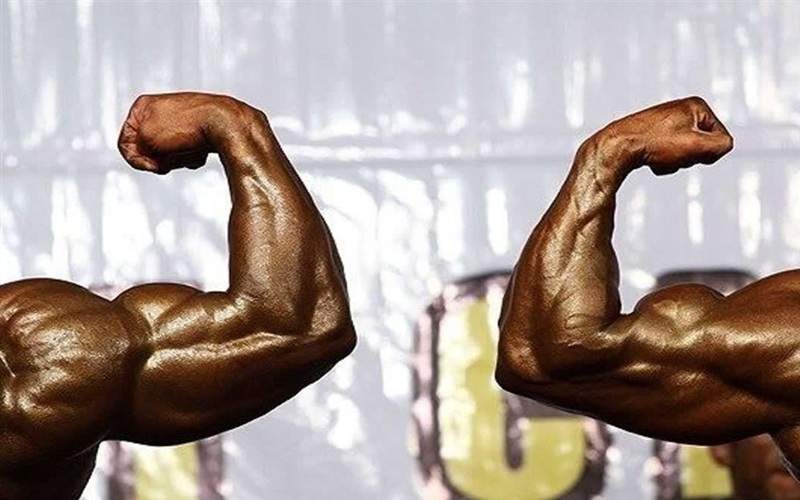 آغاز ثبت‌نام انتخابات هیئت بدنسازی و پرورش اندام