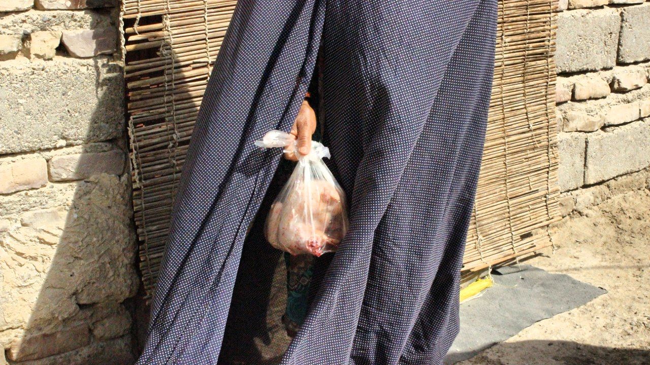 توزیع ۲۳۰ مرغ نذری میان نیازمندان سیستان