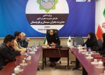 رونق کسب‌وکارهای خانگی در سیستان‌وبلوچستان