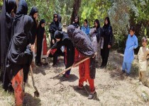 فعالیت ۱۳ صندوق زنان روستایی در زاهدان