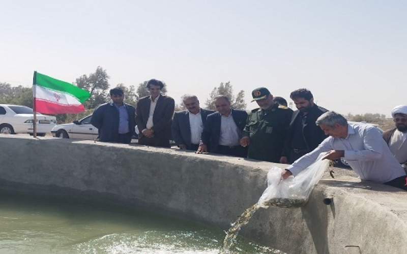 جهش اشتغال روستایی زهک با پرورش ماهی