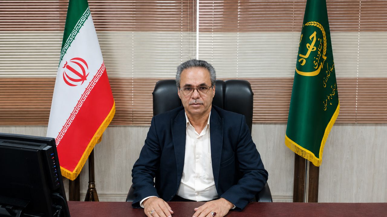 رشد ۶۹.۸ درصدی گلخانههای هامون