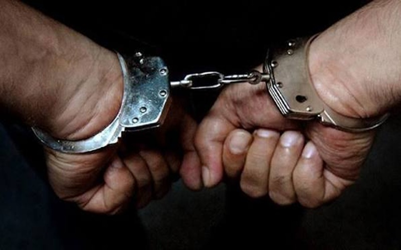 سارق احشام در هامون دستگیر شد