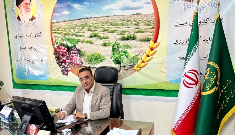 پرورش شترمرغ؛ مسیر توسعه اقتصاد روستایی زهک