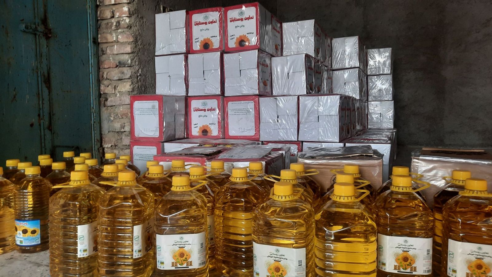 آغاز توزیع روغن تعاون روستایی دانش در سیستان