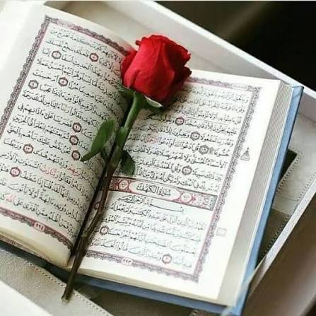 شروع صبح با یک صفحه از قرآن کریم