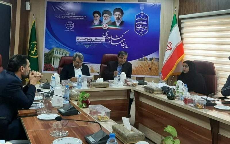 واگذاری ۴۴ هکتار زمین برای توسعه مرغداری‌های سیستان‌وبلوچستان