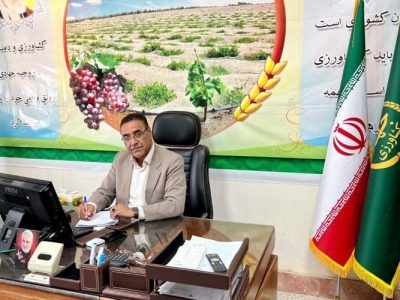 فرصت طلایی سرمایه‌گذاری در کشت گلخانه‌ای زهک