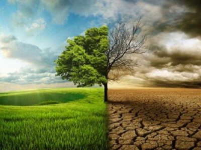 محیط‌زیست سرمایه فراموش‌ شده شرق کشور