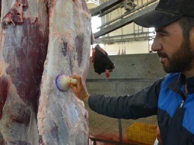 نظارت بهداشتی بر ذبح دام‌های نذری سیستان‌وبلوچستان