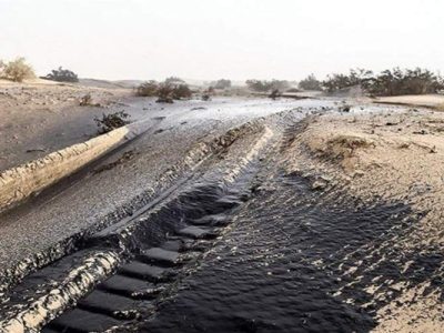 مهار گرد و غبار هامون با مالچ‌پاشی طبیعی