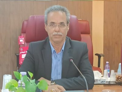 هامون قطب تولید مرغ گوشتی