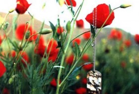 پشتیبان ولایت‌فقیه باشید