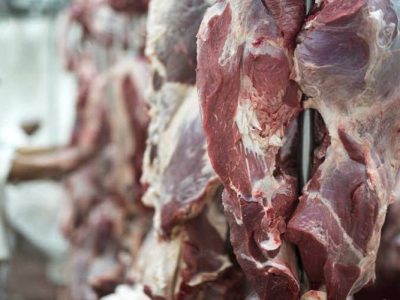 ترخیص ۱۵۰۰ تن لاشه دامی از ریمدان