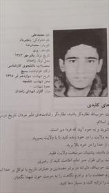 راه ولایت از محراب تا میدان نبرد