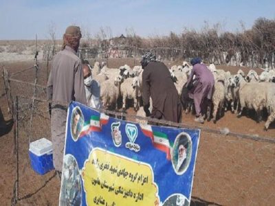 واکسیناسیون و آموزش دامداران هامون