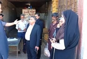 آغاز طرح ویژه نظارت بر بازار مرغ در زابل