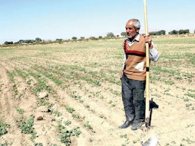 کمبود آب به معنای توقف کشاورزی نیست