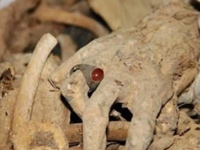 برادرانم جبهه را خالی نگذارید