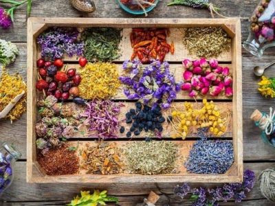 محصولات دارویی بومی پیشران توسعه صادرات سیستان‌وبلوچستان